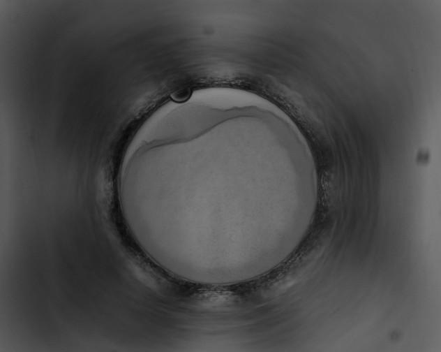 X0000102860642200809081307