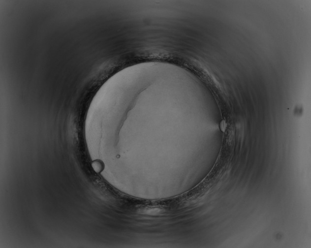 X0000102860643200809081307