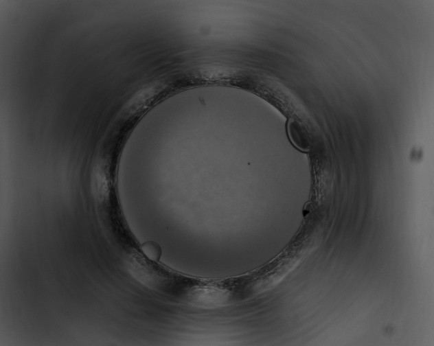 X0000102860644200809081307