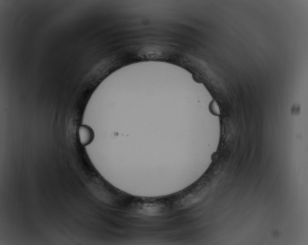 X0000102860645200809081307