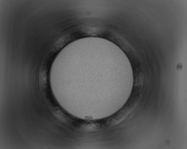 X0000102860646200809081307