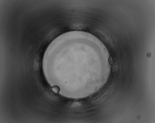 X0000102860647200809081307