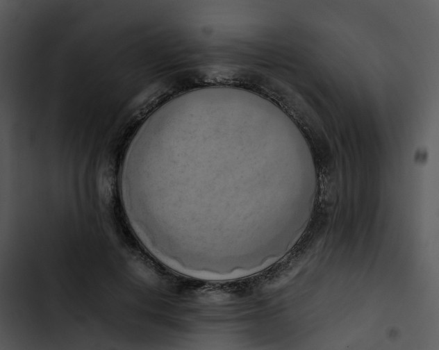 X0000102860648200809081307