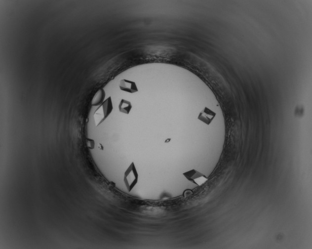 X0000102860649200809081307