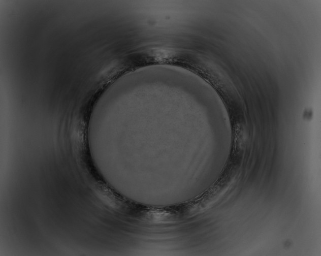 X0000102860650200809081307