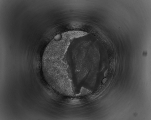 X0000102860651200809081307