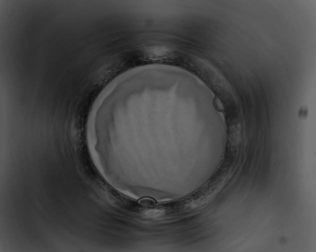 X0000102860653200809081307