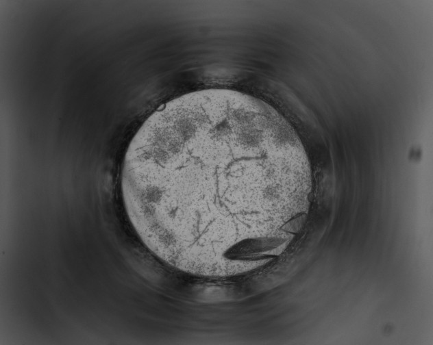 X0000102860655200809081307