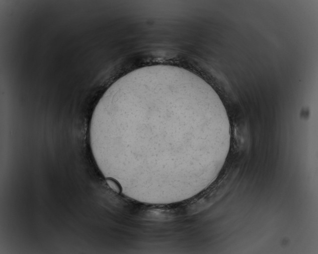 X0000102860657200809081307