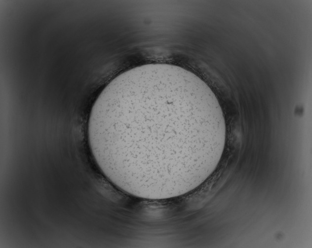 X0000102860658200809081307