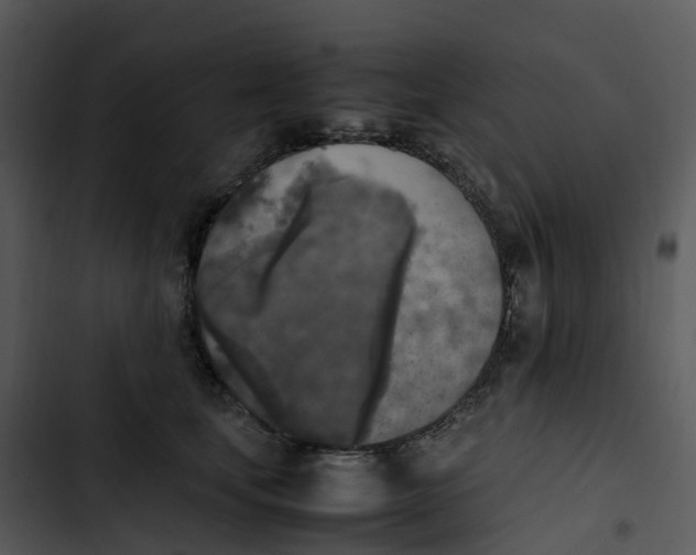 X0000102860659200809081307