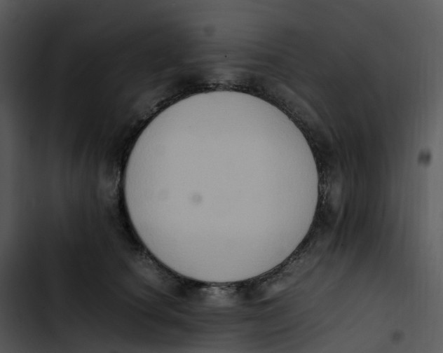 X0000102860660200809081307