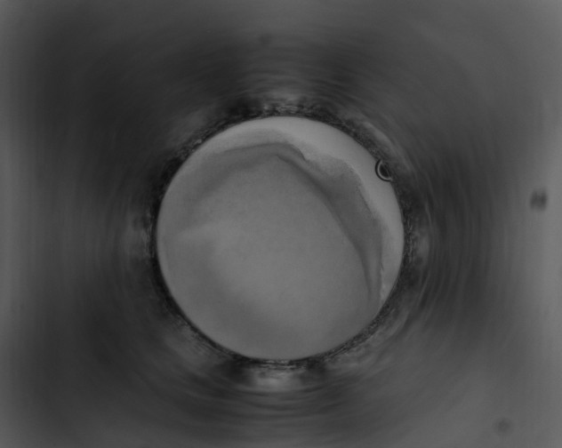 X0000102860661200809081307