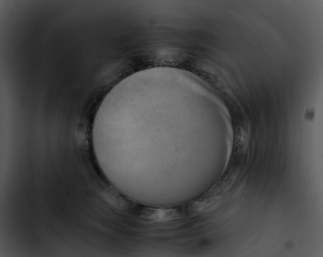 X0000102860663200809081307