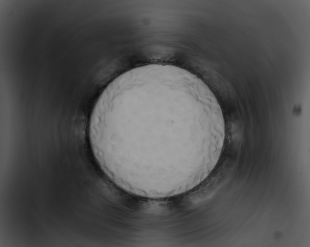 X0000102860664200809081307