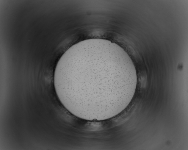 X0000102860665200809081307