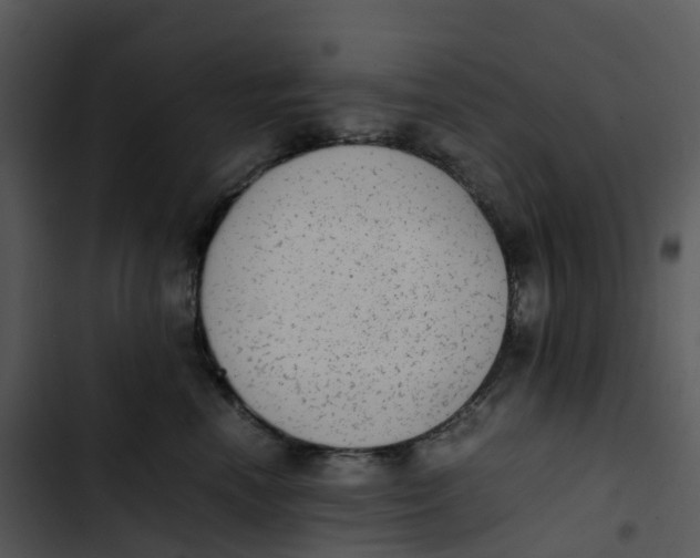 X0000102860666200809081307