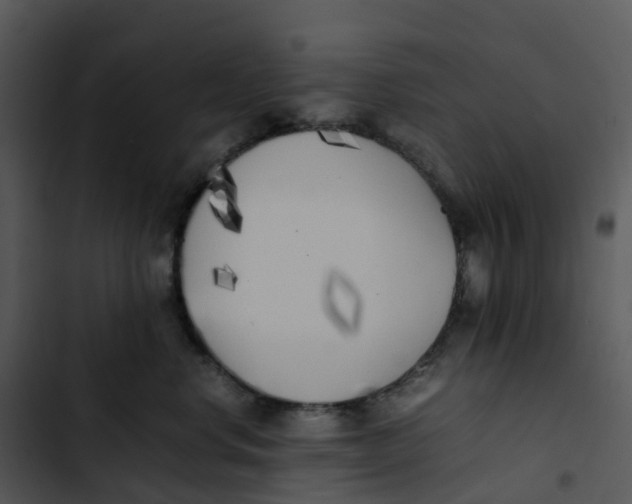 X0000102860668200809081307