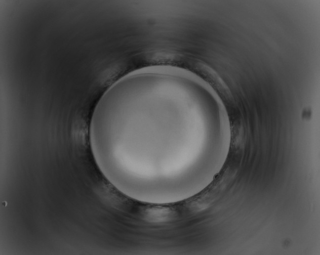 X0000102860669200809081307