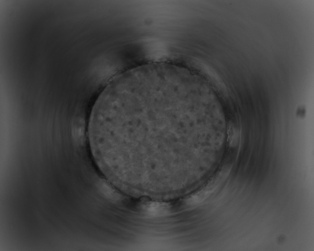 X0000102860670200809081307