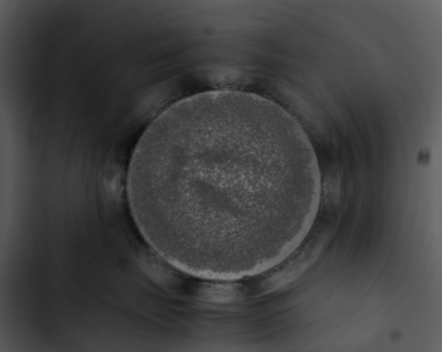 X0000102860671200809081307