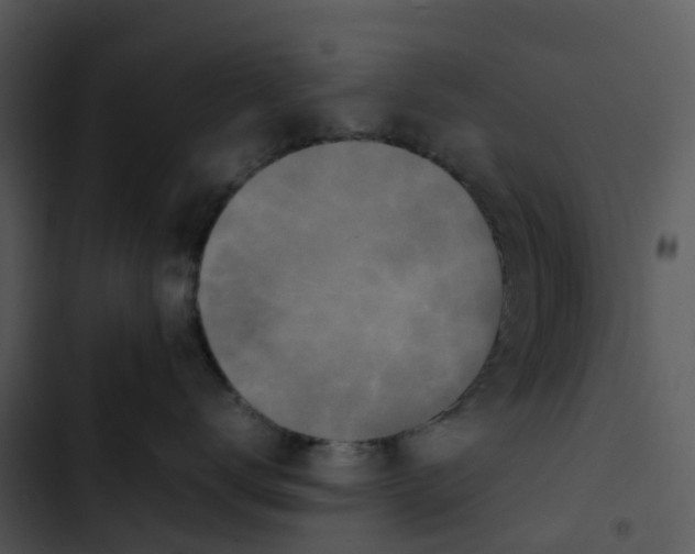 X0000102860672200809081307