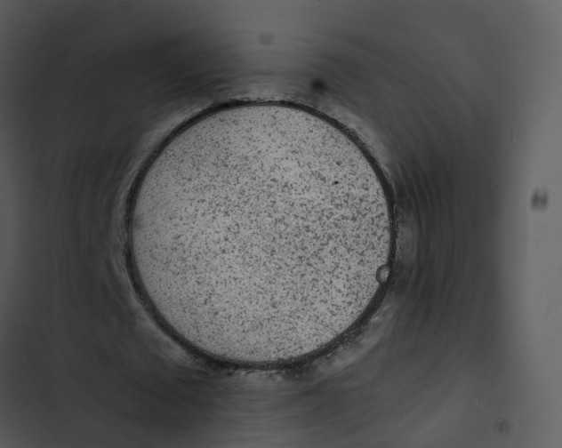 X0000102860673200809081307