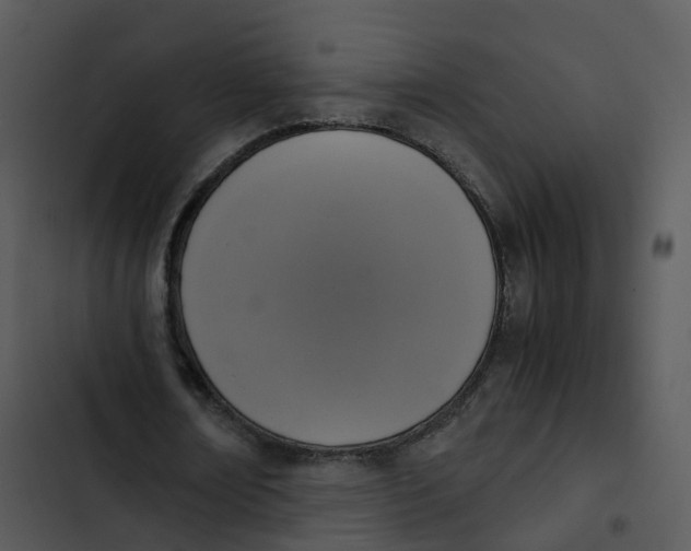 X0000102860674200809081307