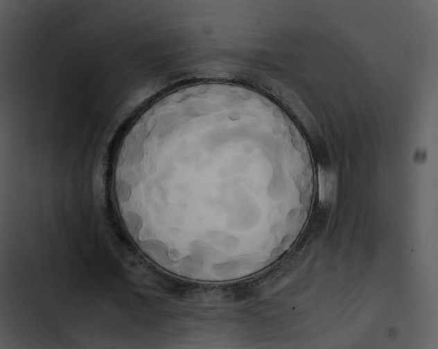 X0000102860675200809081307