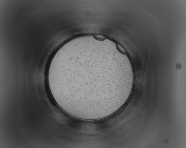 X0000102860677200809081307