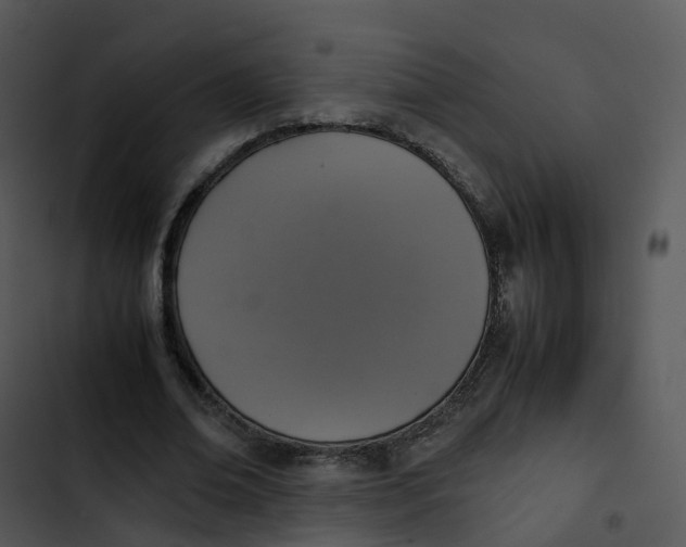 X0000102860678200809081307