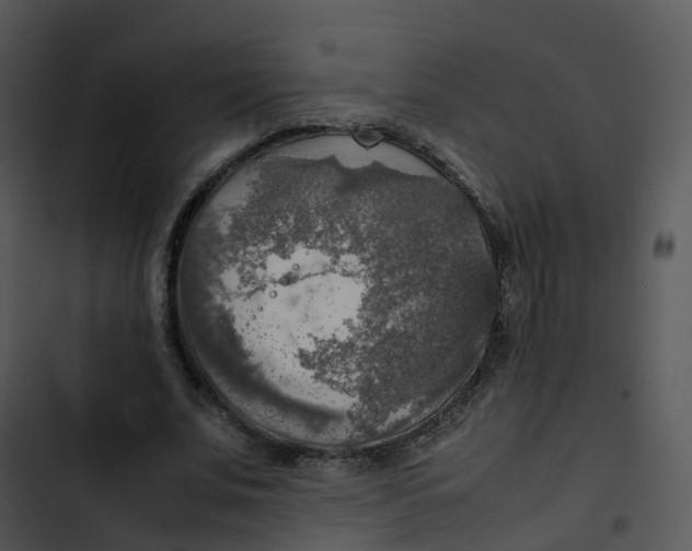 X0000102860679200809081307