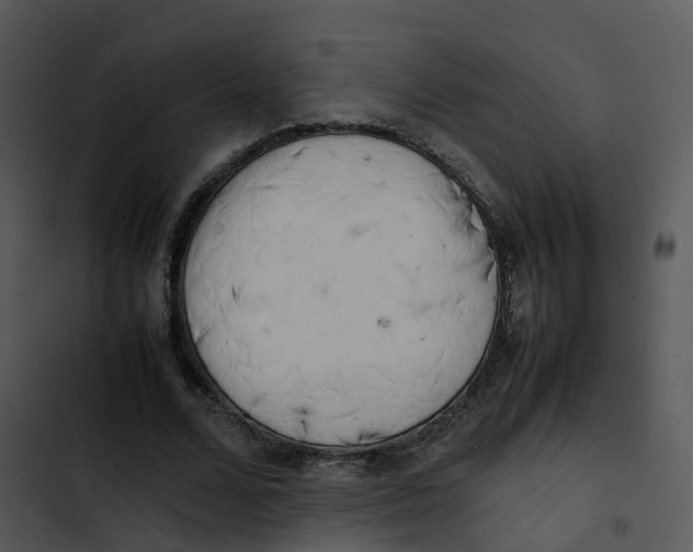 X0000102860680200809081307