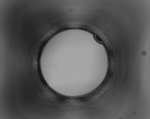 X0000102860681200809081307