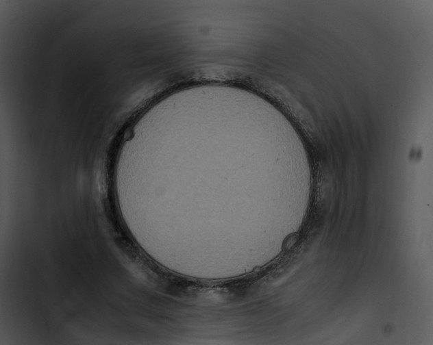 X0000102860683200809081307