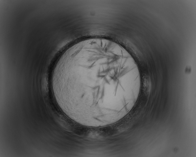 X0000102860684200809081307