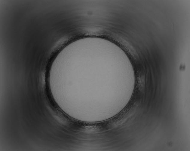 X0000102860686200809081307