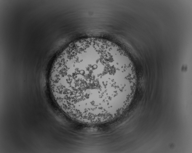 X0000102860687200809081307