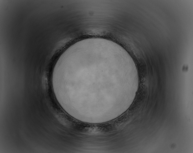 X0000102860688200809081307