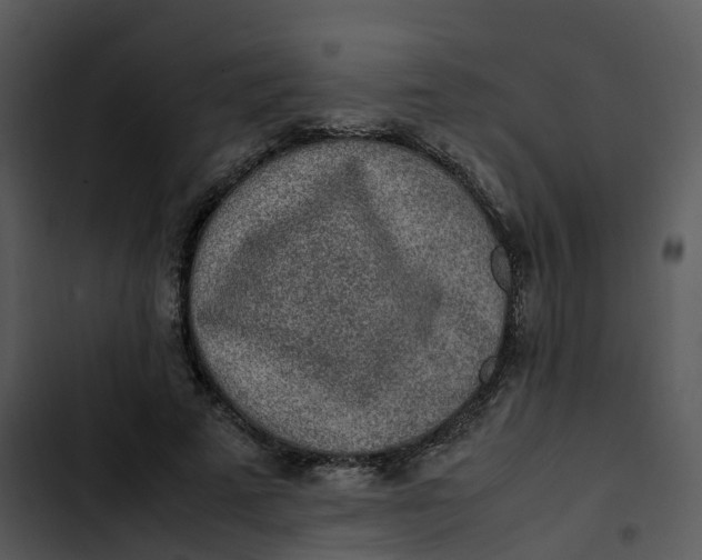 X0000102860689200809081307