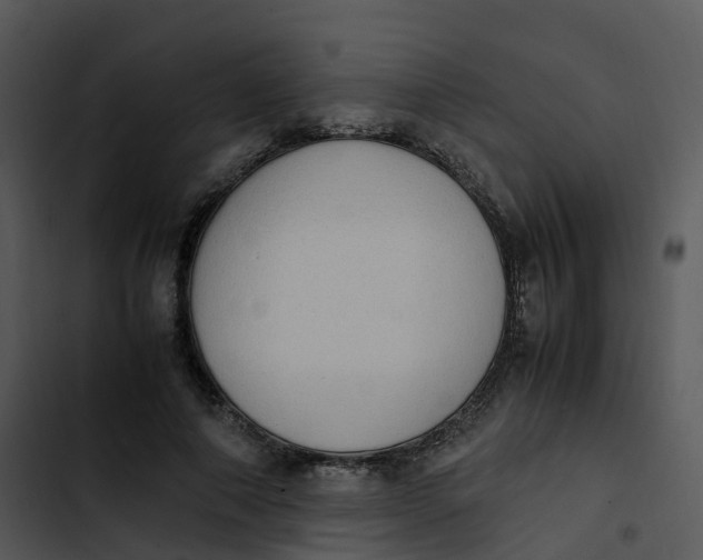 X0000102860690200809081307