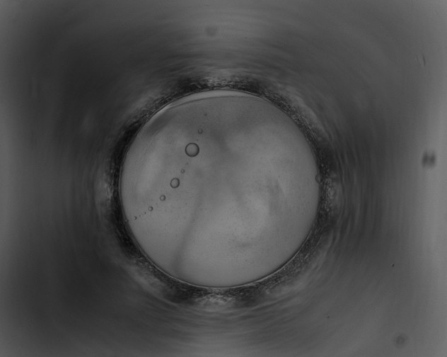 X0000102860691200809081307