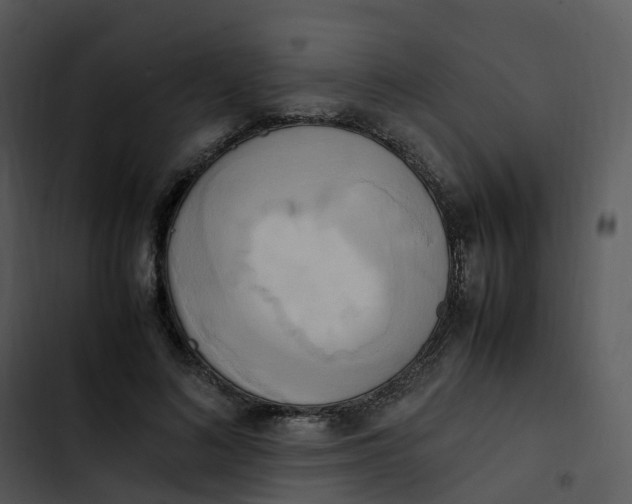 X0000102860692200809081307