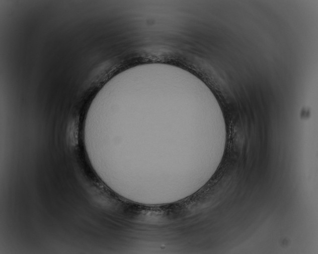 X0000102860694200809081306