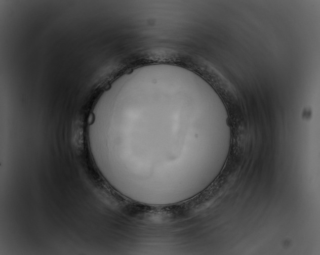 X0000102860696200809081306