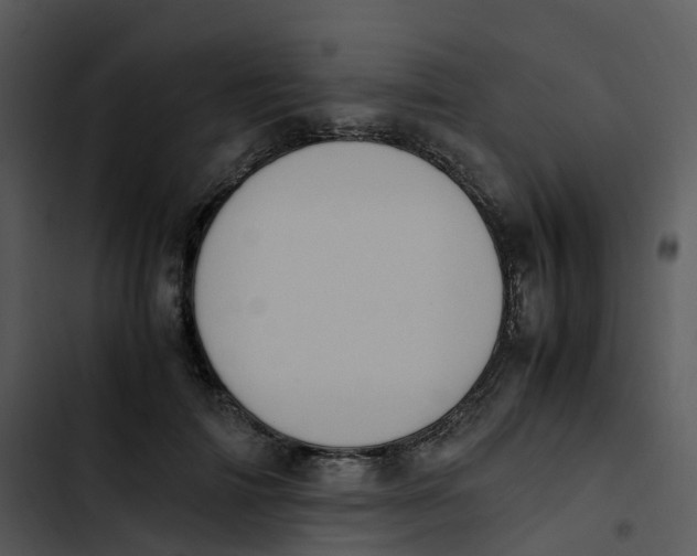 X0000102860698200809081306