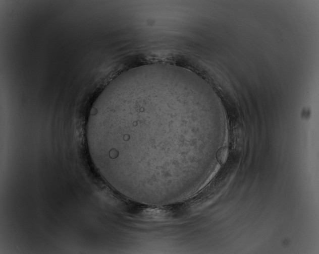 X0000102860699200809081306