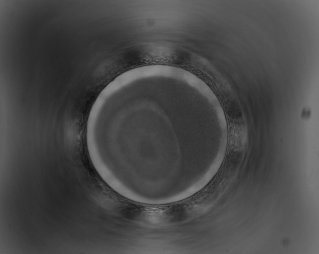 X0000102860701200809081306