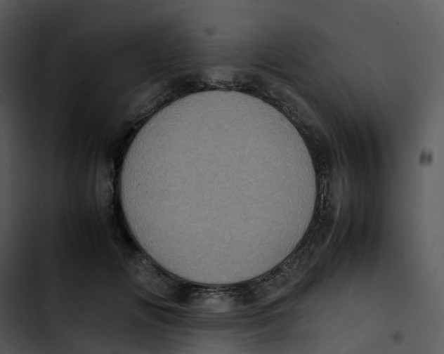 X0000102860702200809081306