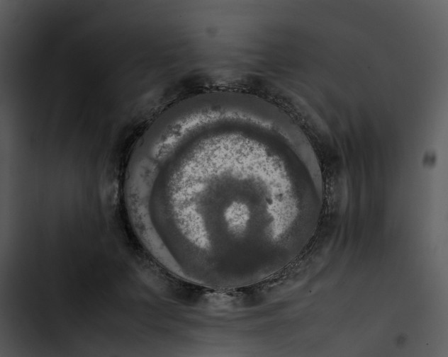 X0000102860703200809081306